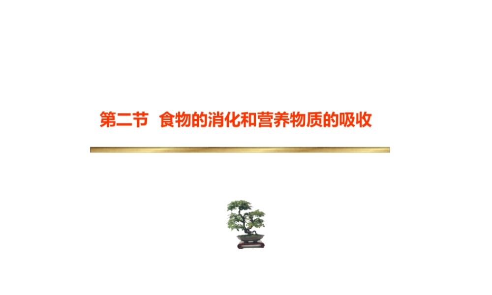 安徽省滁州二中七年级生物下册《消化系统》课件 苏教版