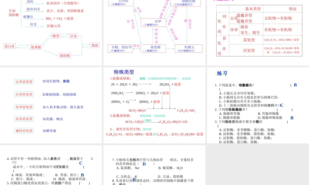 安徽省滁州二中七年级生物下册《消化作用》课件 苏教版