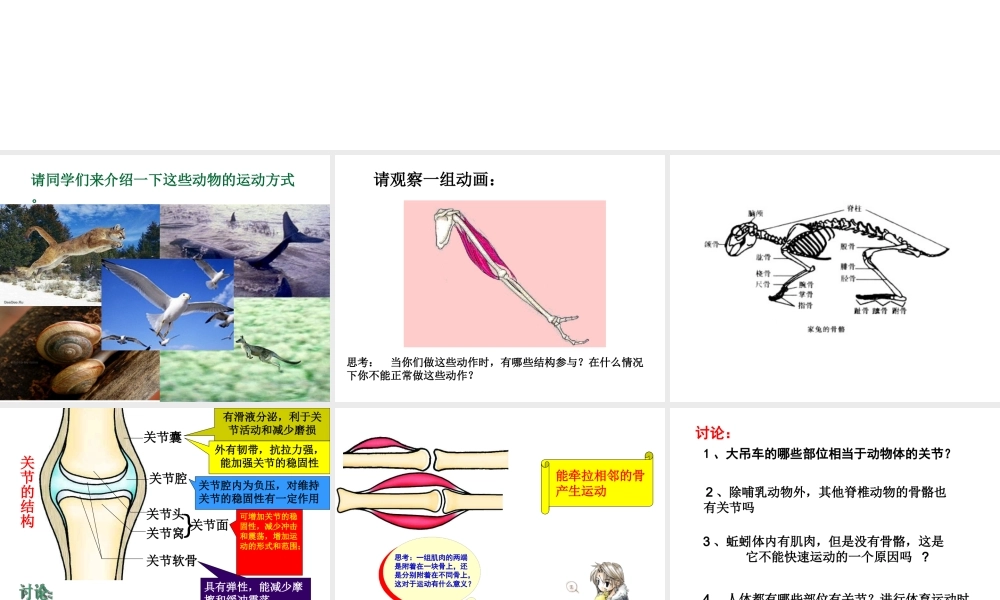 安徽省安庆市桐城吕亭初级中学八年级生物上册 第二章 第一节 动物的运动课件 新人教版