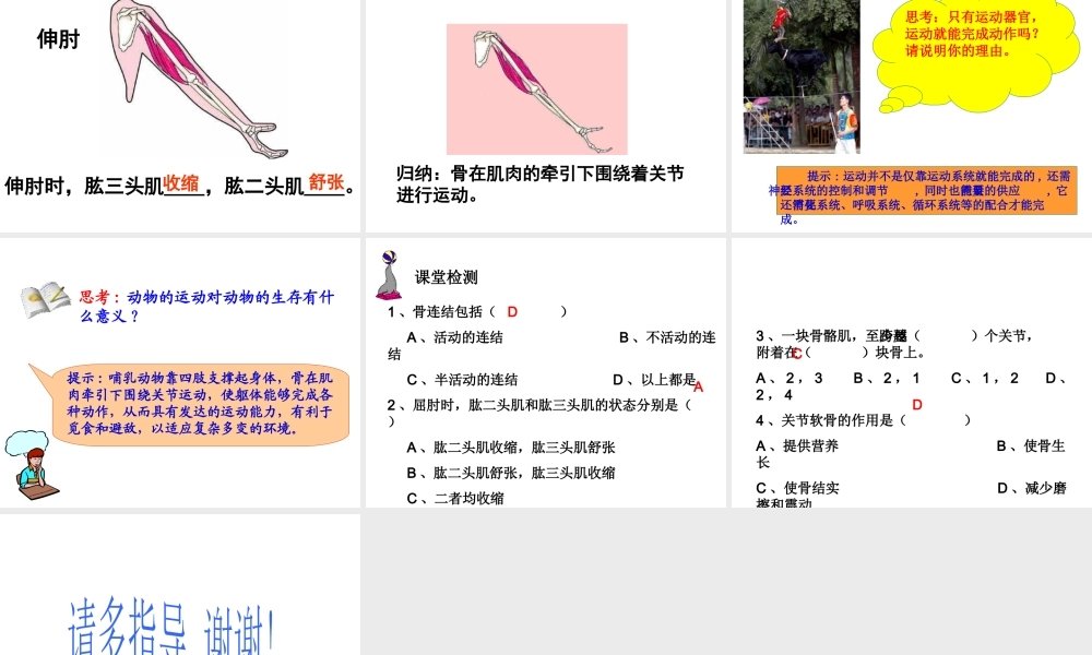 安徽省安庆市桐城吕亭初级中学八年级生物上册 第二章 第一节 动物的运动课件 新人教版