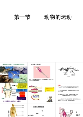 安徽省安庆市桐城吕亭初级中学八年级生物上册 第二章 第一节 动物的运动课件 新人教版