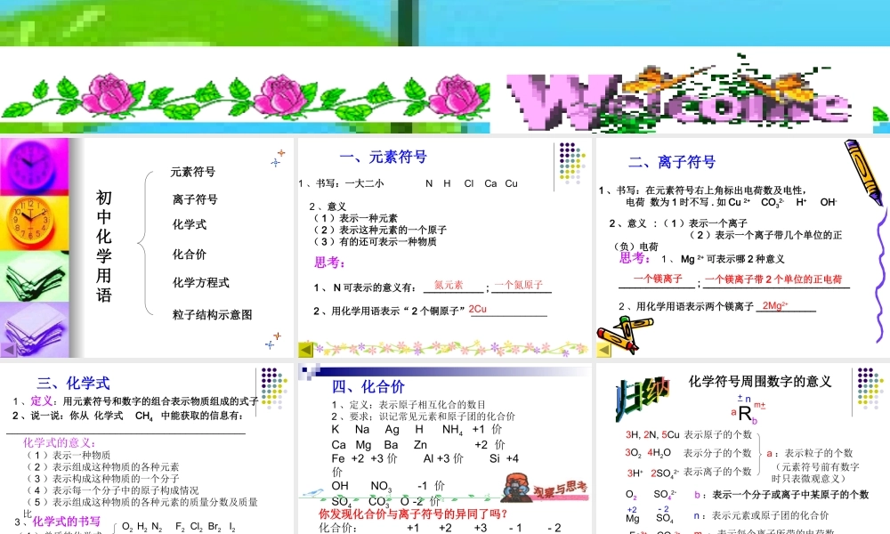 安徽省安庆四中九年级化学《化学用语》课件