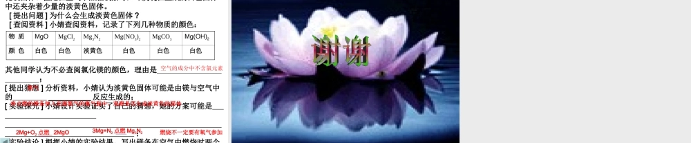 安徽省安庆四中九年级化学《化学用语》课件