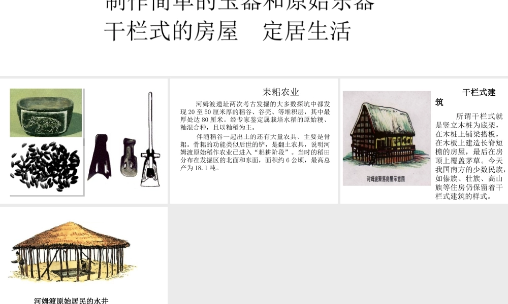 （2016年秋季版）七年级历史上册 第1单元 第2课 原始农耕生活 河姆渡原始居民的生活课件 川教版