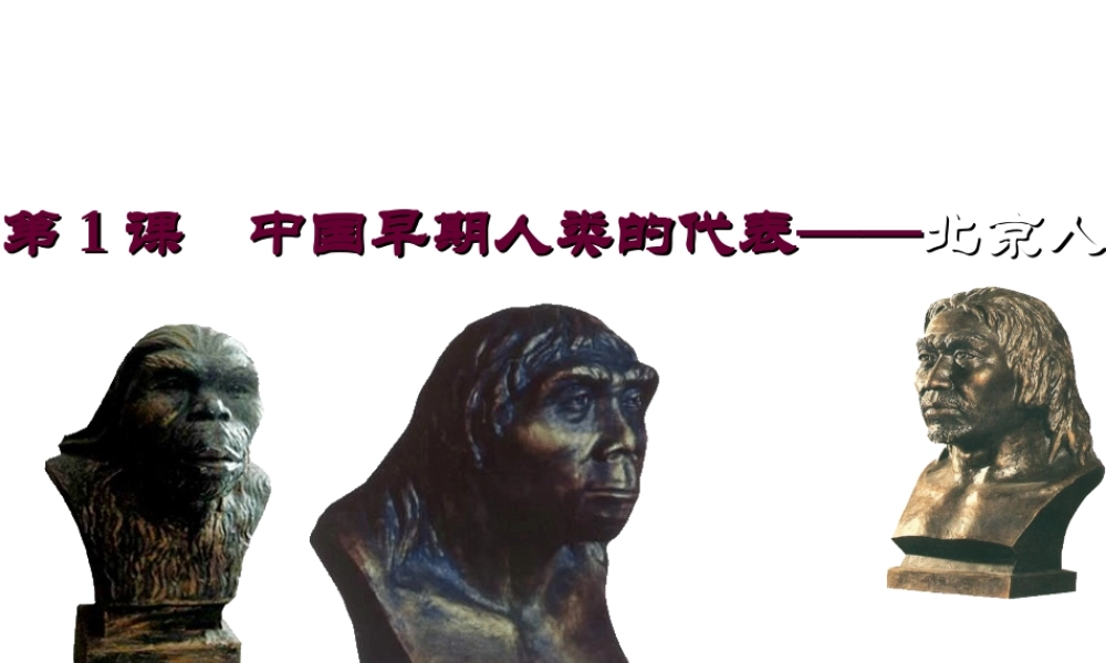 （2016年秋季版）七年级历史上册 第1课 中国境早期人类的代表——北京人课件 新人教版