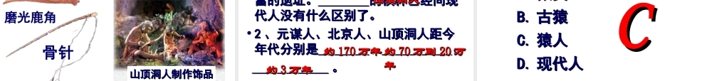 （2016年秋季版）七年级历史上册 第1课 中国境早期人类的代表——北京人课件 新人教版