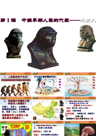（2016年秋季版）七年级历史上册 第1课 中国境早期人类的代表——北京人课件 新人教版