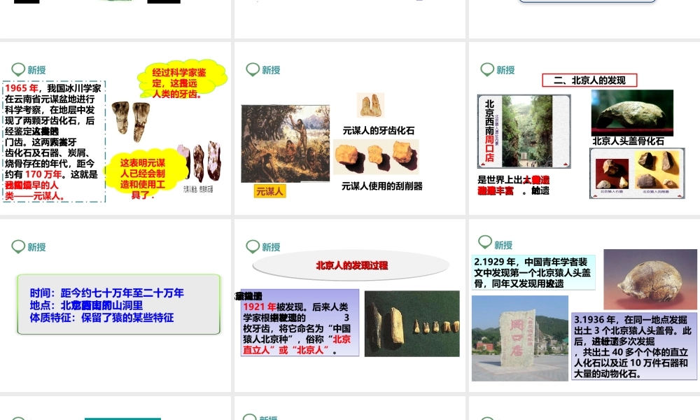 （2016年秋季版）七年级历史上册 第1课 中国早期人类的代表——北京人课件 新人教版