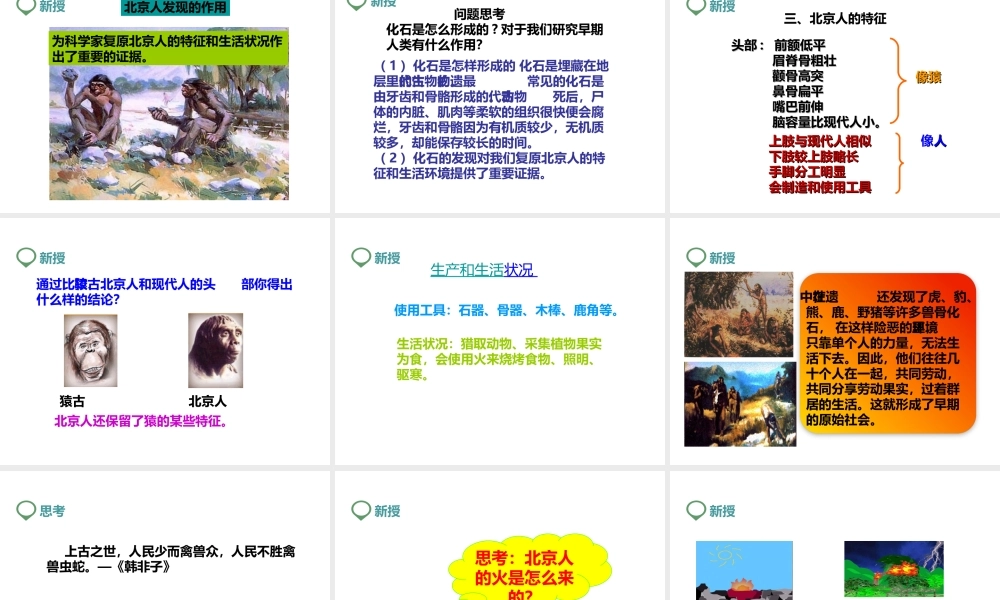 （2016年秋季版）七年级历史上册 第1课 中国早期人类的代表——北京人课件 新人教版