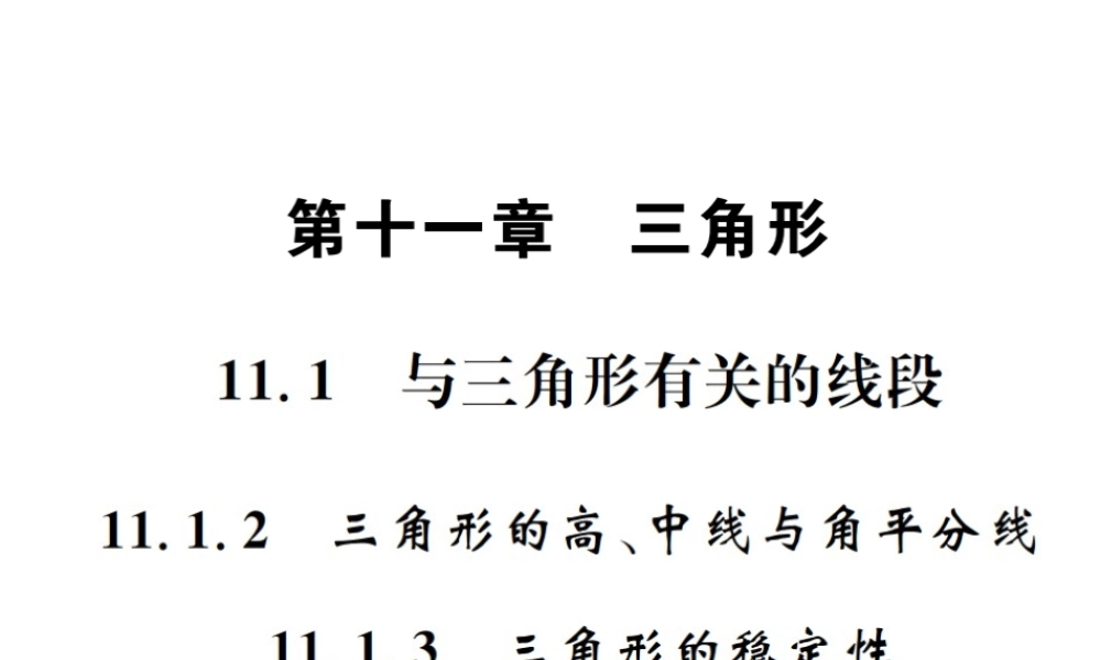 （云南专版）秋八年级数学上册 第十一章 三角形 11.1 与三角形有关的线段 11.1.2 三角形的高、中线与角平分线 11.1.3 三角形的稳定性作业课件 （新版）新人教版-（新版）新人教版初中八年级上册数学课件