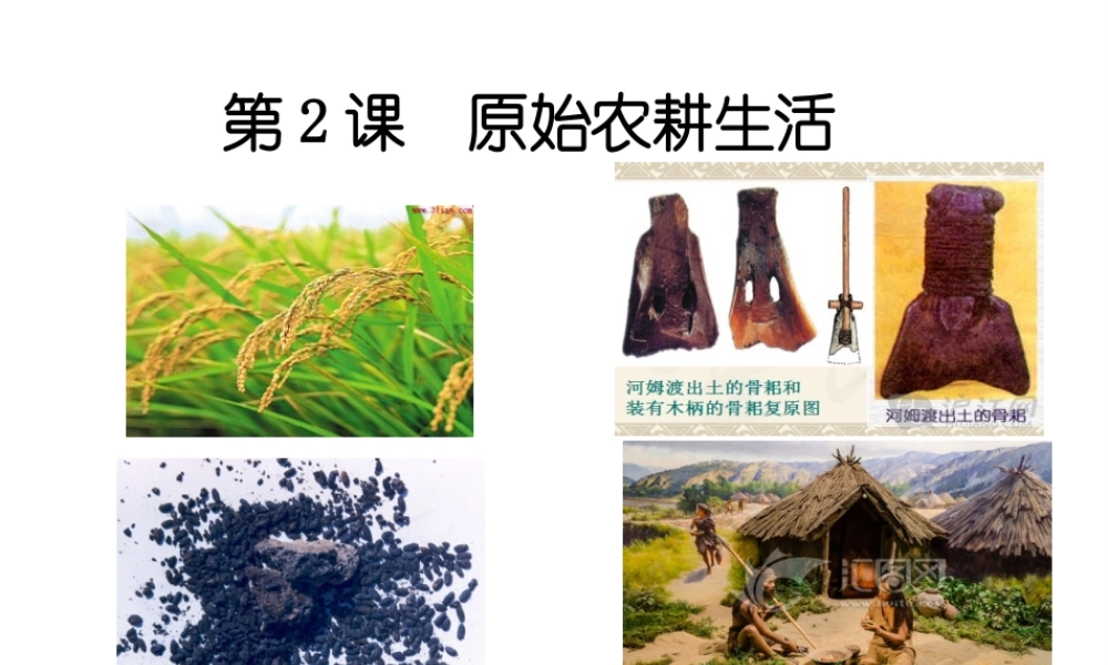 （2016年秋季版）七年级历史上册 第2课 原始农耕生活课件 川教版