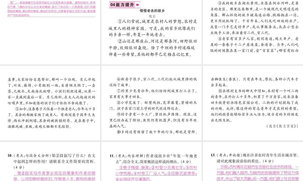 （云南专版）九年级语文上册 14 故乡作业课件 新人教版-新人教版初中九年级上册语文课件