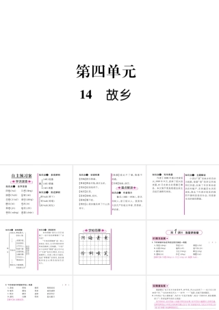 （云南专版）九年级语文上册 14 故乡作业课件 新人教版-新人教版初中九年级上册语文课件