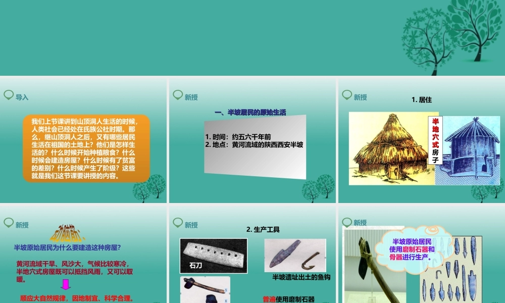 （2016年秋季版）七年级历史上册 第2课 原始农耕生活课件 新人教版