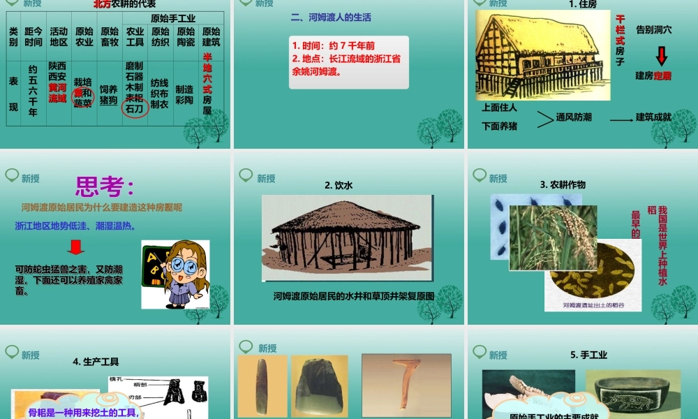 （2016年秋季版）七年级历史上册 第2课 原始农耕生活课件 新人教版