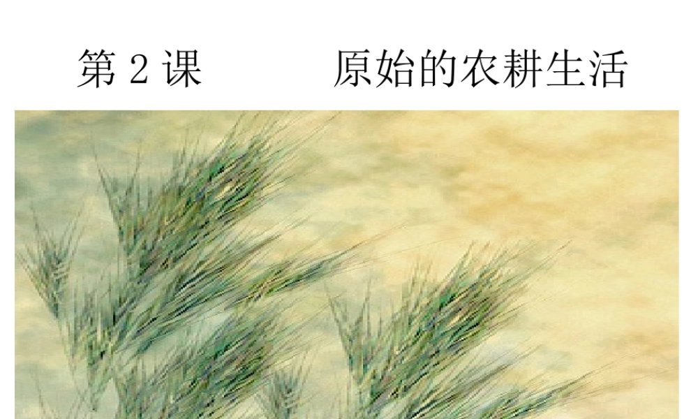 （2016年秋季版）七年级历史上册 第2课 原始农业的产生课件 华东师大版