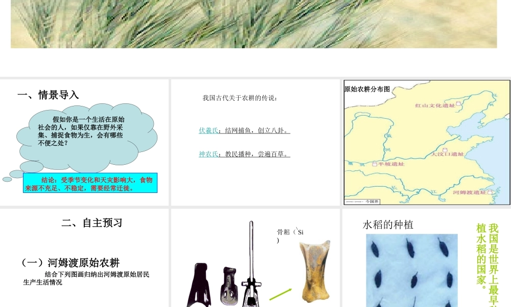 （2016年秋季版）七年级历史上册 第2课 原始农业的产生课件 华东师大版