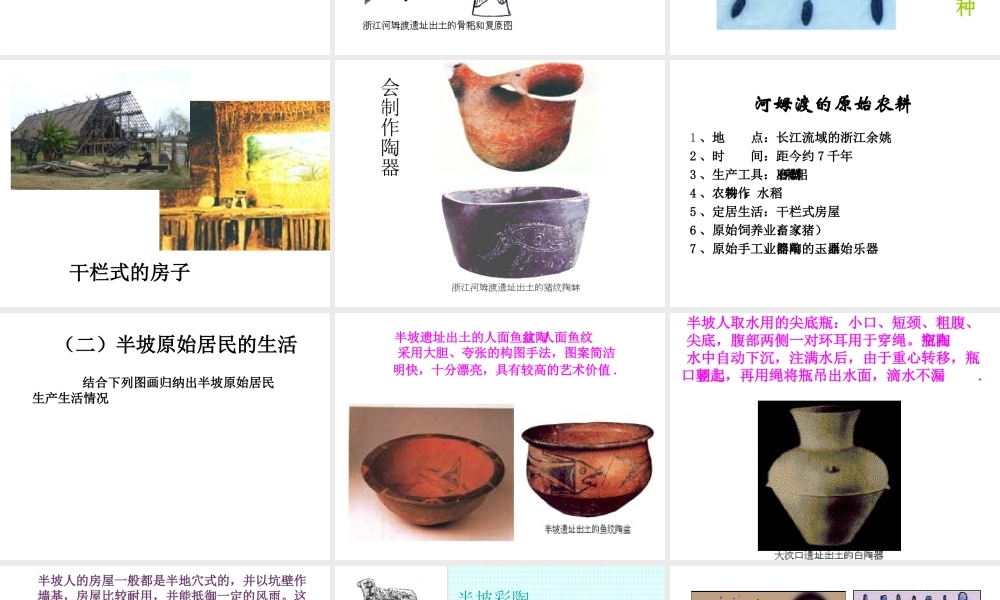 （2016年秋季版）七年级历史上册 第2课 原始农业的产生课件 华东师大版