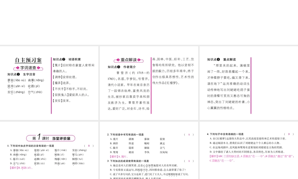 （云南专版）九年级语文上册 24 刘姥姥进大观园作业课件 新人教版-新人教版初中九年级上册语文课件