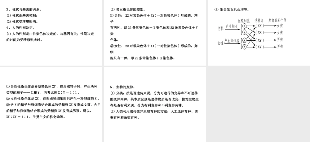 （东营专版）中考生物 专题八复习课件-人教版初中九年级全册生物课件
