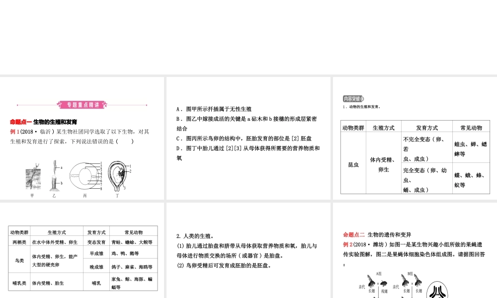 （东营专版）中考生物 专题八复习课件-人教级全册生物课件