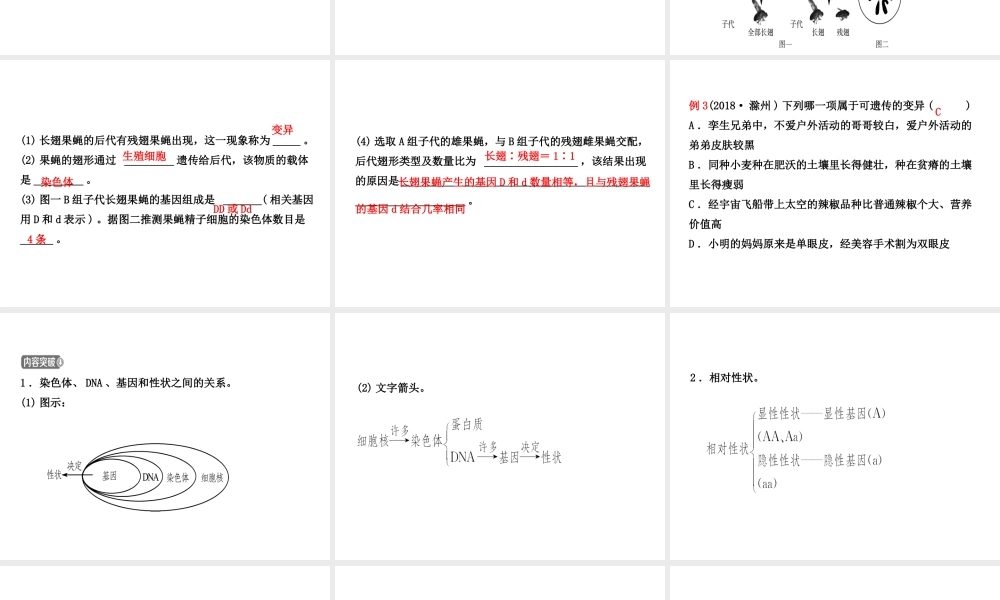 （东营专版）中考生物 专题八复习课件-人教级全册生物课件