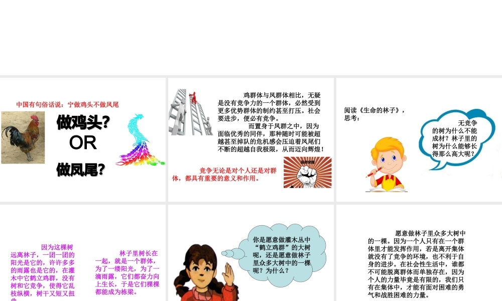 （2016年秋季版）七年级道德与法治下册 第三单元 一起成长 第八课 生命的林子 第2框 竞争的意义课件 人民版