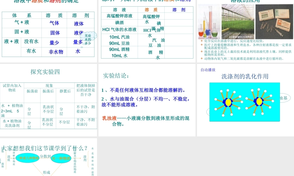 安徽省毫州市风华中学九年级化学 第九单元《溶液的形成》课件