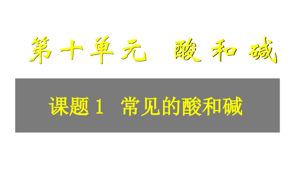 安徽省毫州市风华中学九年级化学 第十单元《常见的酸和碱》课件