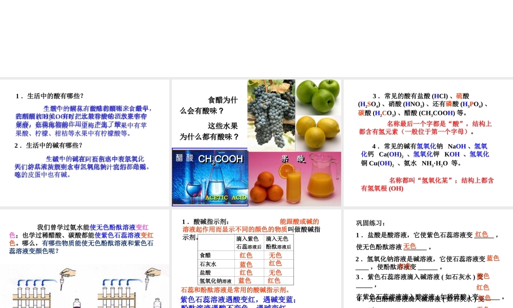 安徽省毫州市风华中学九年级化学 第十单元《常见的酸和碱》课件