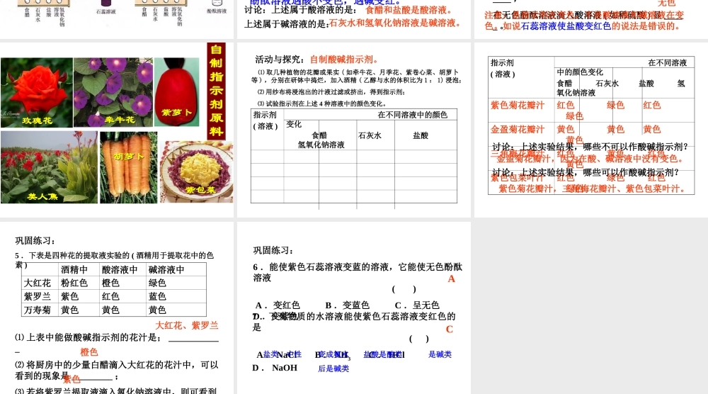 安徽省毫州市风华中学九年级化学 第十单元《常见的酸和碱》课件