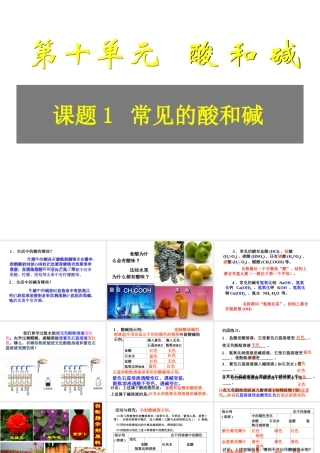 安徽省毫州市风华中学九年级化学 第十单元《常见的酸和碱》课件