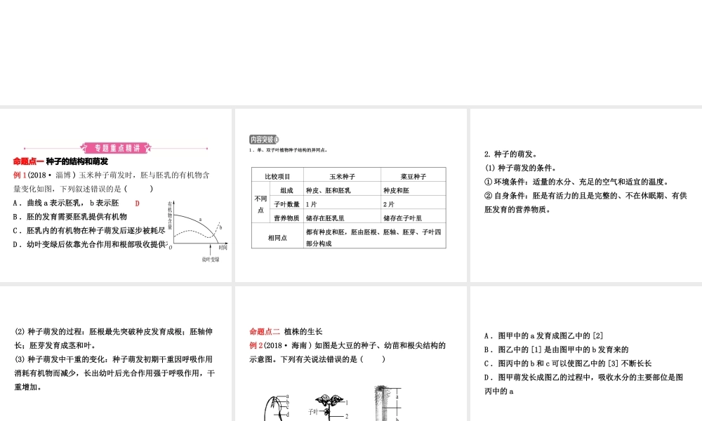 （东营专版）中考生物 专题七复习课件-人教版初中九年级全册生物课件