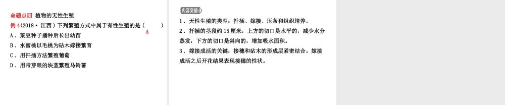 （东营专版）中考生物 专题七复习课件-人教版初中九年级全册生物课件