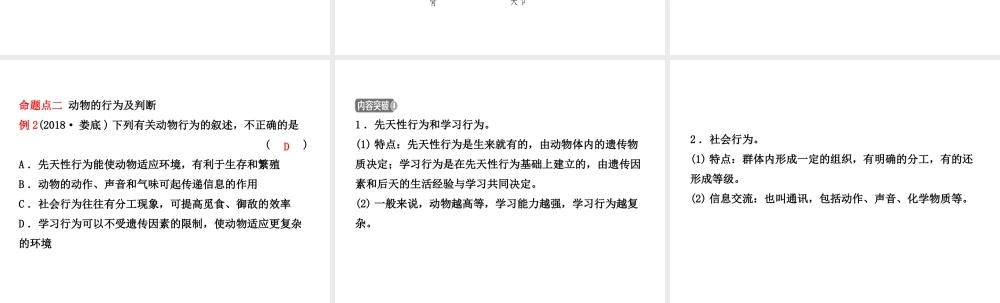 （东营专版）中考生物 专题三复习课件-人教版初中九年级全册生物课件