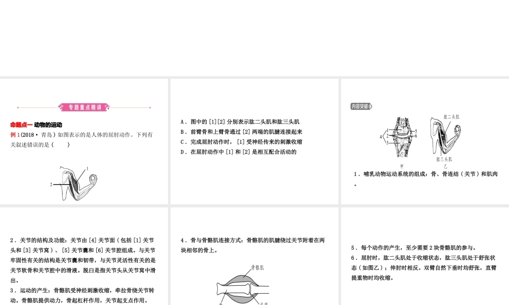 （东营专版）中考生物 专题三复习课件-人教级全册生物课件