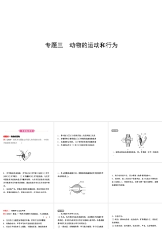 （东营专版）中考生物 专题三复习课件-人教级全册生物课件