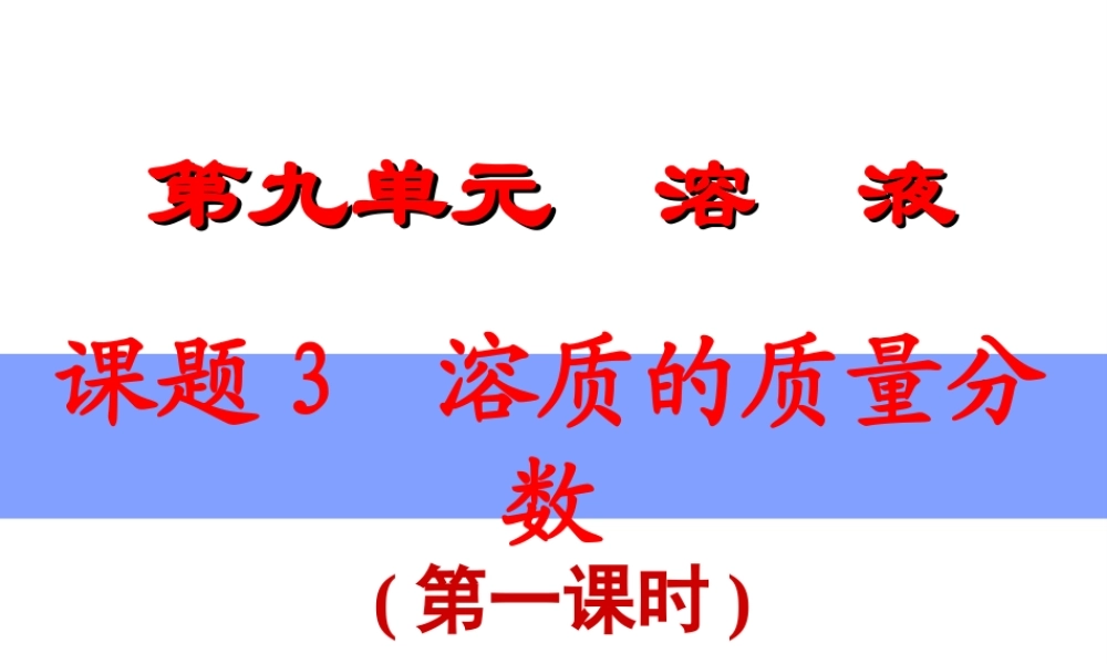 安徽省毫州市风华中学九年级化学《溶质质量分数》课件