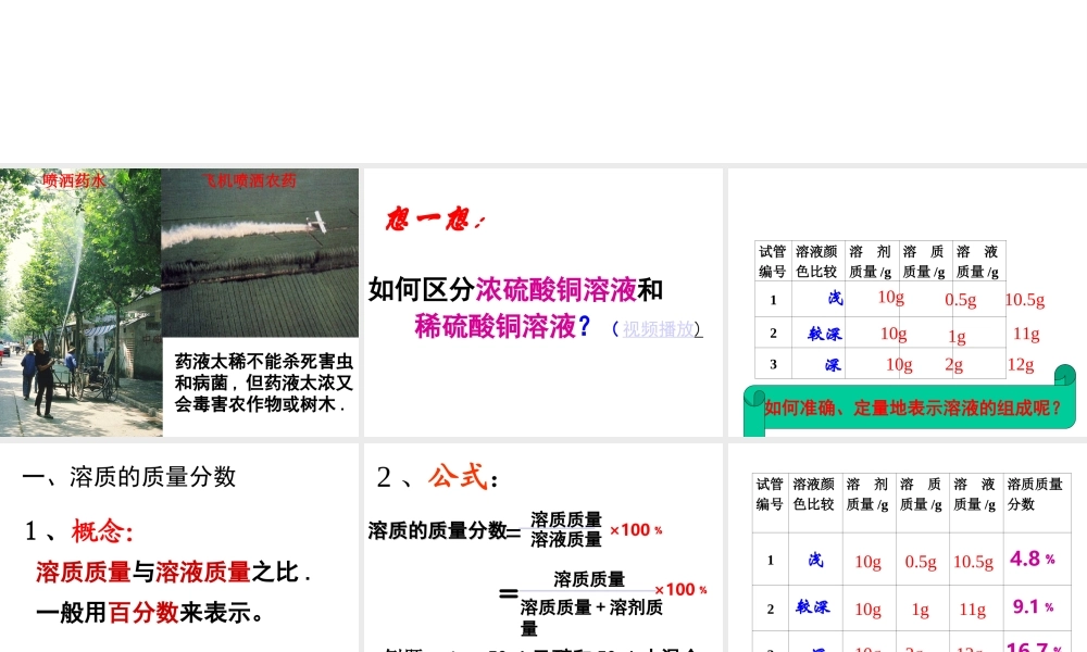 安徽省毫州市风华中学九年级化学《溶质质量分数》课件