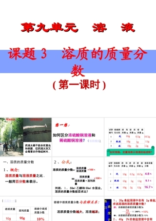 安徽省毫州市风华中学九年级化学《溶质质量分数》课件
