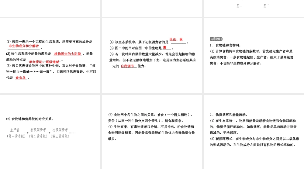 （东营专版）中考生物 专题十复习课件-人教版初中九年级全册生物课件