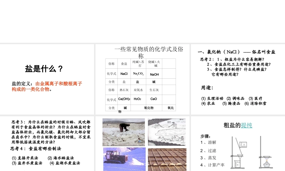 安徽省毫州市风华中学九年级化学《生活中常见的盐》课件