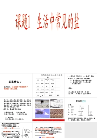 安徽省毫州市风华中学九年级化学《生活中常见的盐》课件
