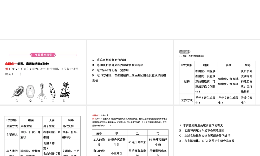 （东营专版）中考生物 专题十一复习课件-人教版初中九年级全册生物课件