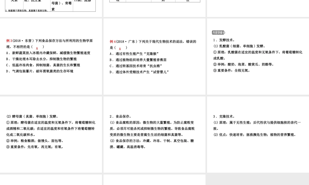（东营专版）中考生物 专题十一复习课件-人教版初中九年级全册生物课件