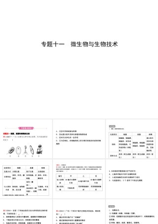 （东营专版）中考生物 专题十一复习课件-人教版初中九年级全册生物课件
