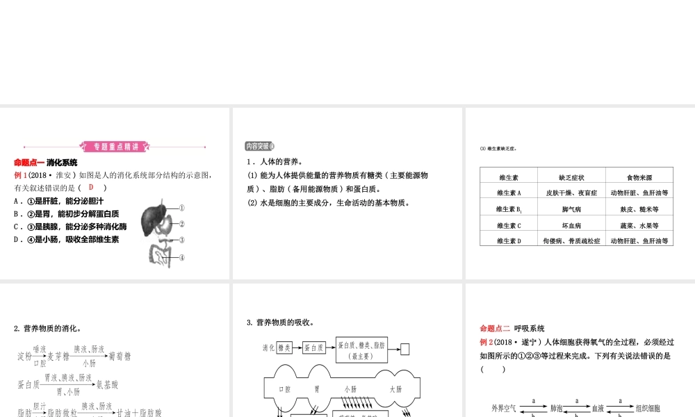 （东营专版）中考生物 专题四复习课件-人教版初中九年级全册生物课件