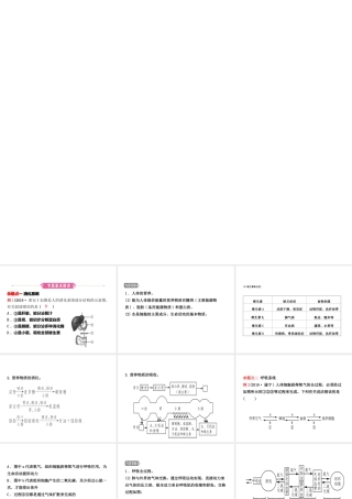 （东营专版）中考生物 专题四复习课件-人教版初中九年级全册生物课件