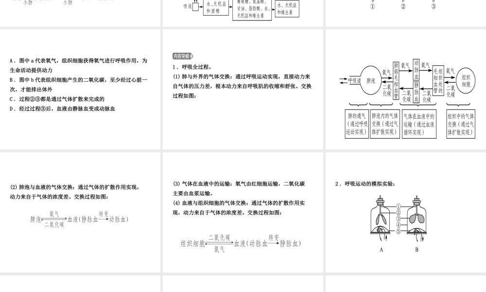 （东营专版）中考生物 专题四复习课件-人教级全册生物课件