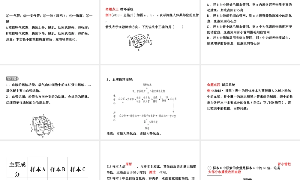（东营专版）中考生物 专题四复习课件-人教级全册生物课件